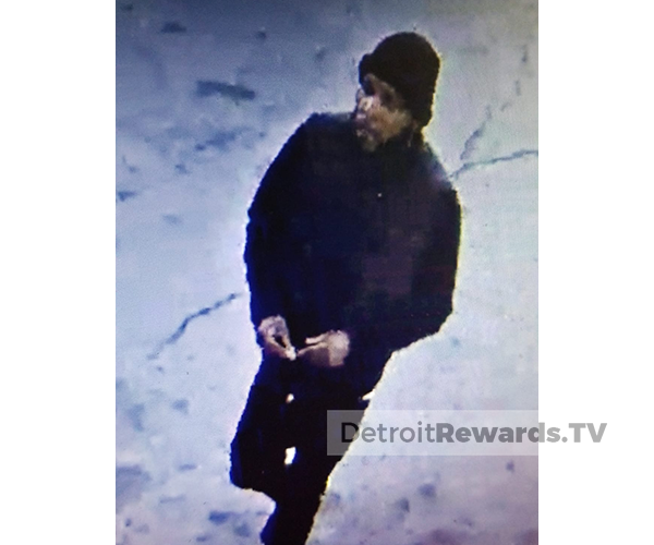 Carjacking in the area of Schoolcraft and Greenfield City of Detroit